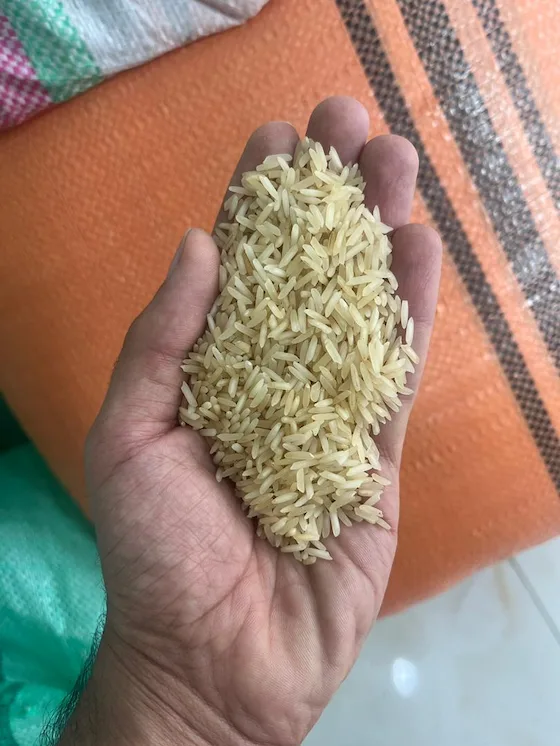 عکس برنج شیرودی دودی