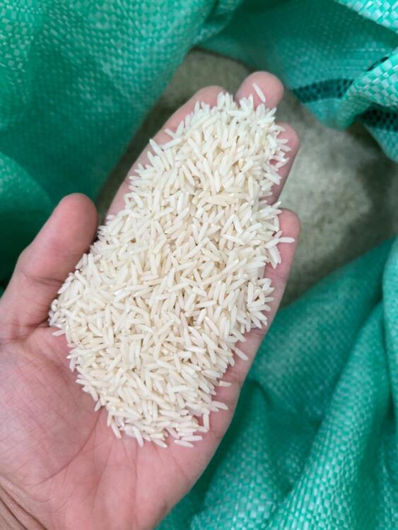 عکس برنج دمسیاه